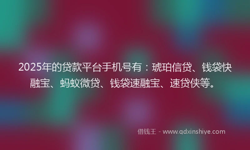 2025年的贷款平台手机号有：琥珀信贷、钱袋快融宝、蚂蚁微贷、钱袋速融宝、速贷侠等。