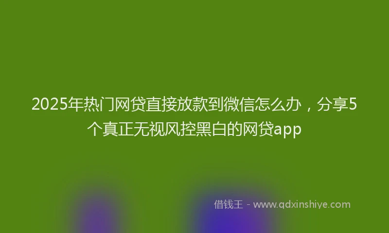 2025年热门网贷直接放款到微信怎么办，分享5个真正无视风控黑白的网贷app