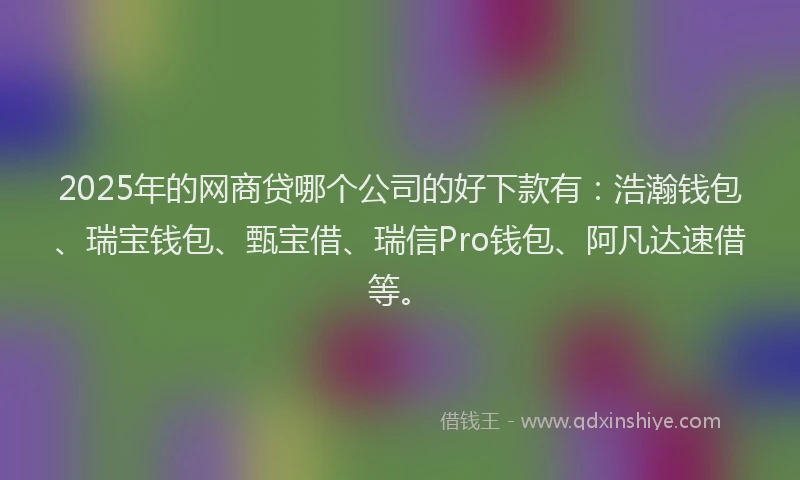 2025年的网商贷哪个公司的好下款有：浩瀚钱包、瑞宝钱包、甄宝借、瑞信Pro钱包、阿凡达速借等。