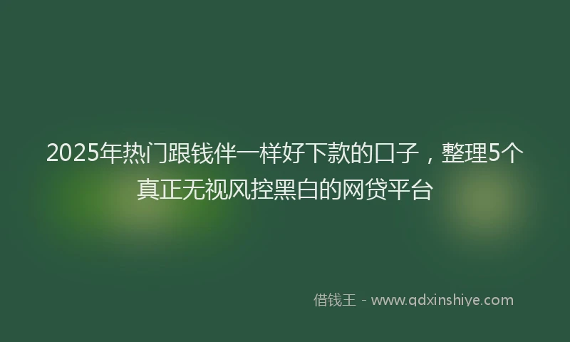 2025年热门跟钱伴一样好下款的口子，整理5个真正无视风控黑白的网贷平台