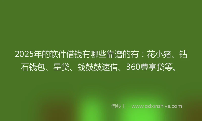 2025年的软件借钱有哪些靠谱的有：花小猪、钻石钱包、星贷、钱鼓鼓速借、360尊享贷等。