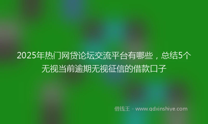 2025年热门网贷论坛交流平台有哪些，总结5个无视当前逾期无视征信的借款口子