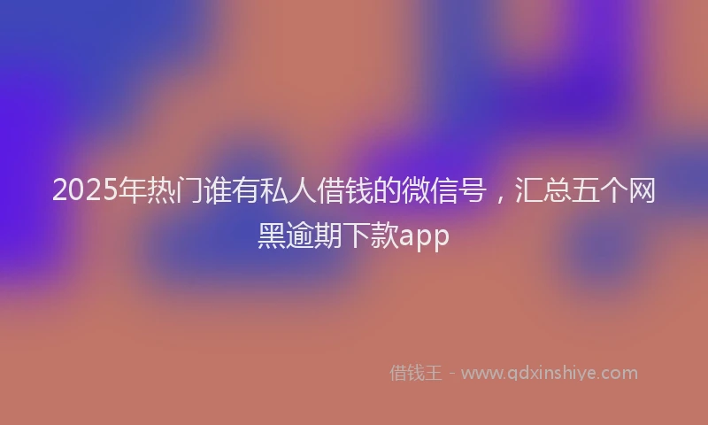 2025年热门谁有私人借钱的微信号，汇总五个网黑逾期下款app