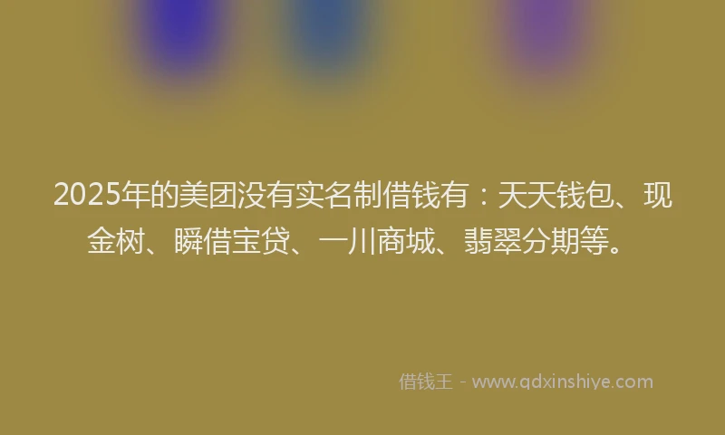 2025年的美团没有实名制借钱有：天天钱包、现金树、瞬借宝贷、一川商城、翡翠分期等。