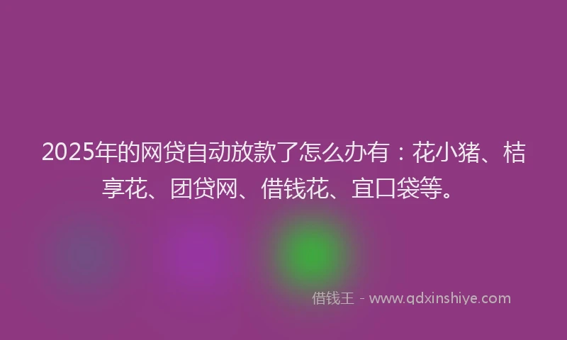 2025年的网贷自动放款了怎么办有：花小猪、桔享花、团贷网、借钱花、宜口袋等。