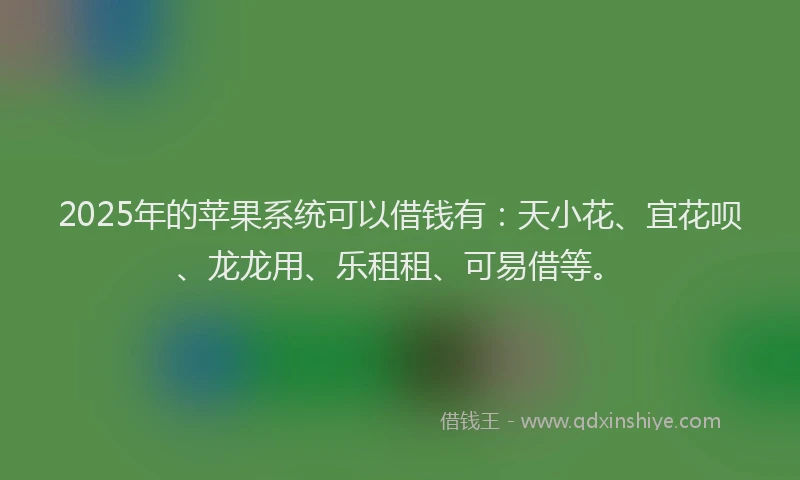 2025年的苹果系统可以借钱有：天小花、宜花呗、龙龙用、乐租租、可易借等。