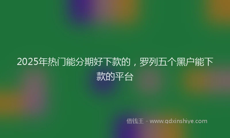 2025年热门能分期好下款的，罗列五个黑户能下款的平台