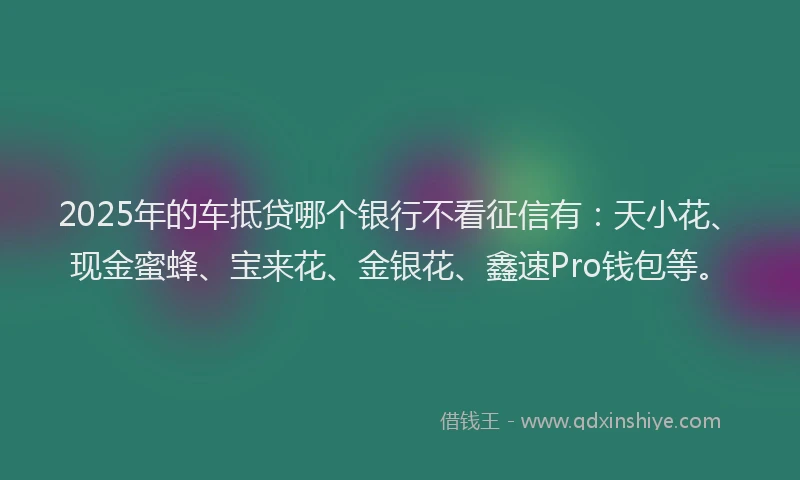 2025年的车抵贷哪个银行不看征信有：天小花、现金蜜蜂、宝来花、金银花、鑫速Pro钱包等。