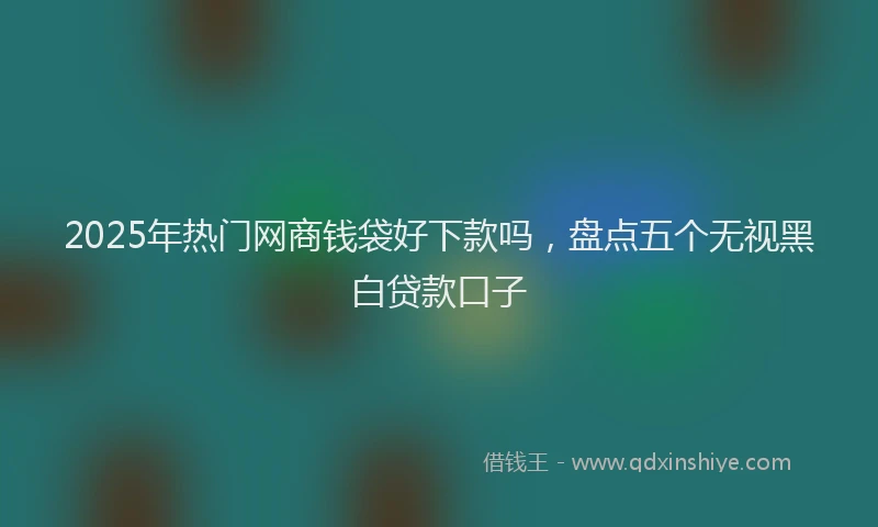 2025年热门网商钱袋好下款吗，盘点五个无视黑白贷款口子