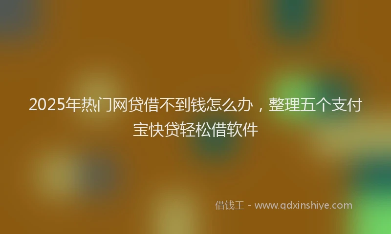 2025年热门网贷借不到钱怎么办，整理五个支付宝快贷轻松借软件