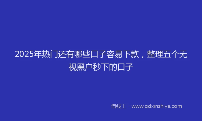 2025年热门还有哪些口子容易下款，整理五个无视黑户秒下的口子