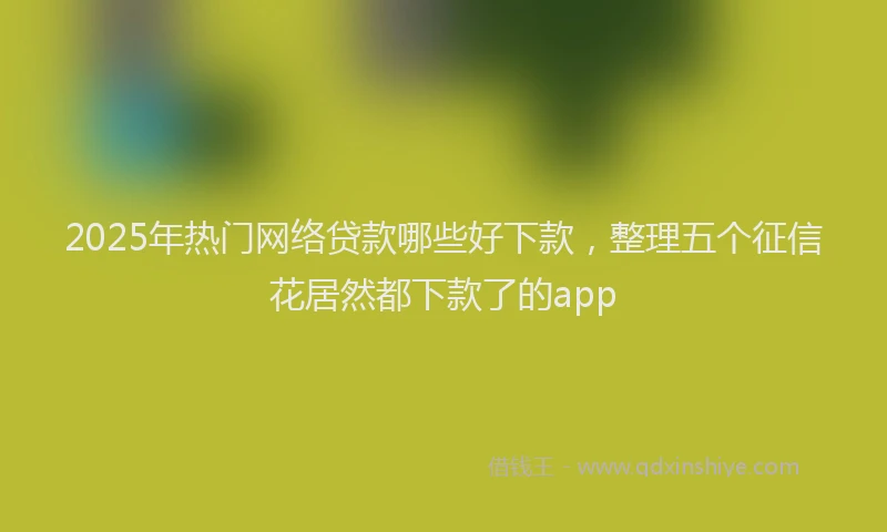 2025年热门网络贷款哪些好下款，整理五个征信花居然都下款了的app