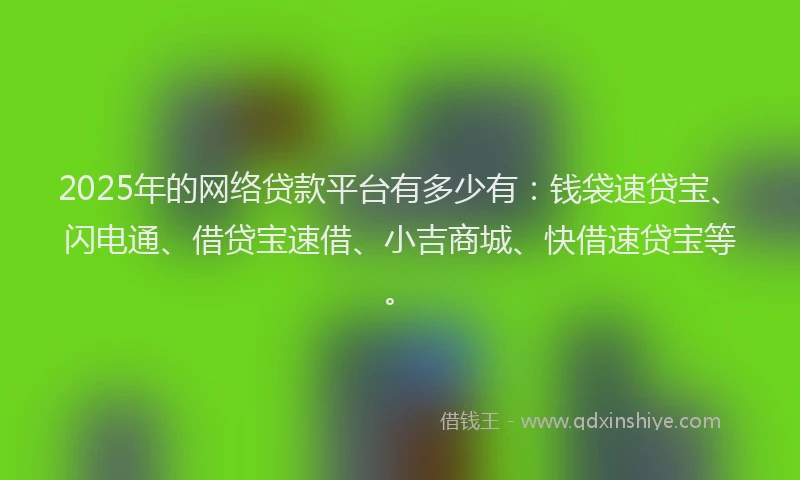 2025年的网络贷款平台有多少有：钱袋速贷宝、闪电通、借贷宝速借、小吉商城、快借速贷宝等。