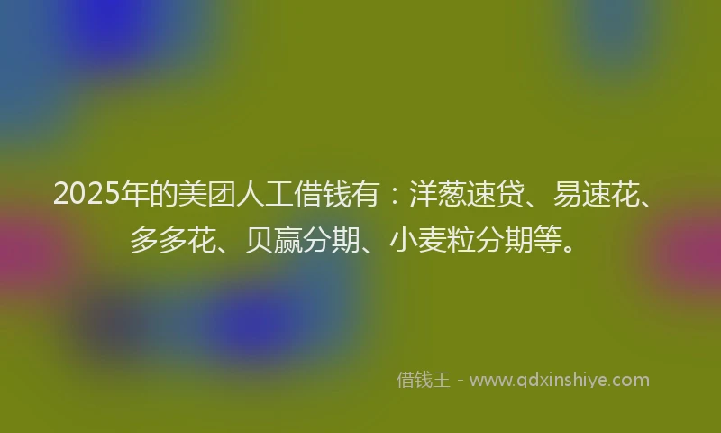 2025年的美团人工借钱有：洋葱速贷、易速花、多多花、贝赢分期、小麦粒分期等。