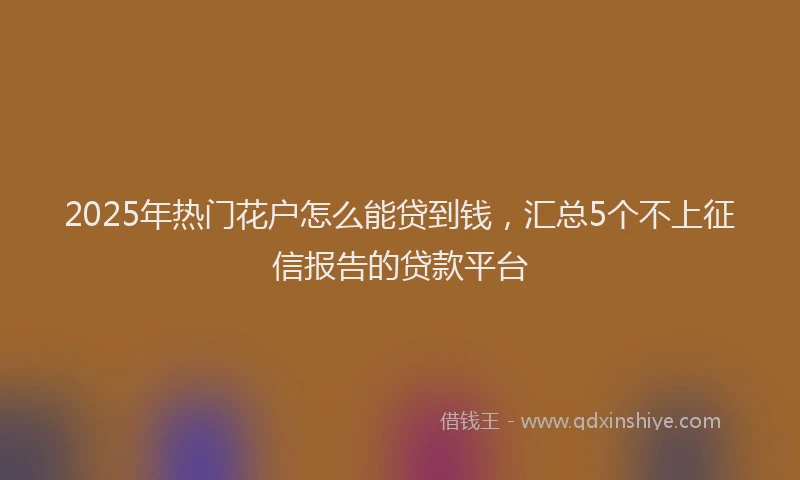 2025年热门花户怎么能贷到钱，汇总5个不上征信报告的贷款平台