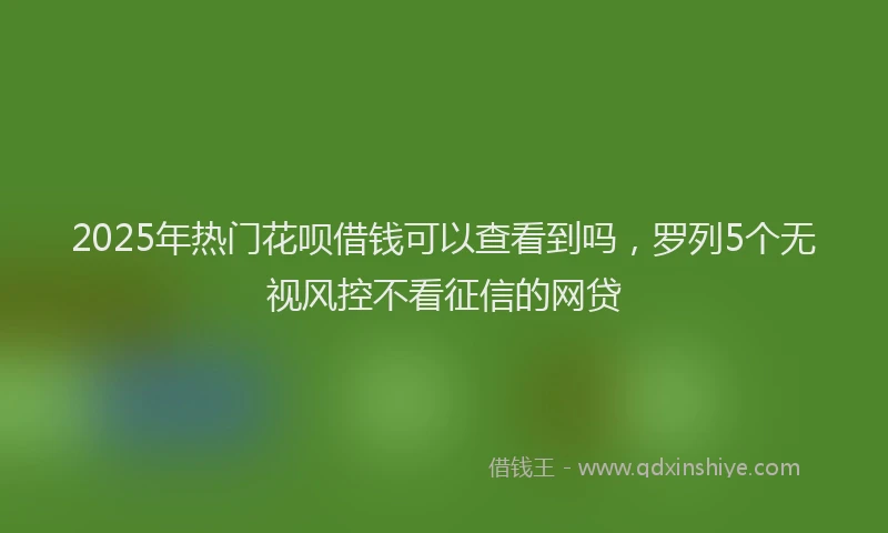 2025年热门花呗借钱可以查看到吗，罗列5个无视风控不看征信的网贷