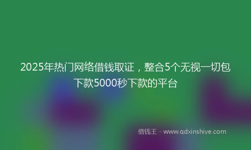 2025年热门网络借钱取证，整合5个无视一切包下款5000秒下款的平台