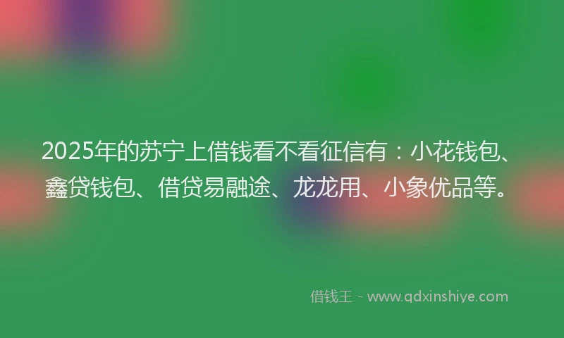 2025年的苏宁上借钱看不看征信有：小花钱包、鑫贷钱包、借贷易融途、龙龙用、小象优品等。
