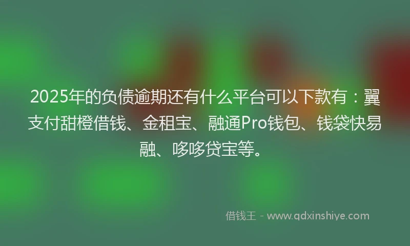 2025年的负债逾期还有什么平台可以下款有：翼支付甜橙借钱、金租宝、融通Pro钱包、钱袋快易融、哆哆贷宝等。