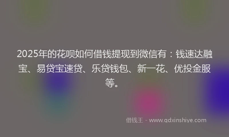 2025年的花呗如何借钱提现到微信有：钱速达融宝、易贷宝速贷、乐贷钱包、新一花、优投金服等。