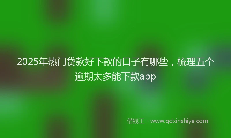 2025年热门贷款好下款的口子有哪些，梳理五个逾期太多能下款app