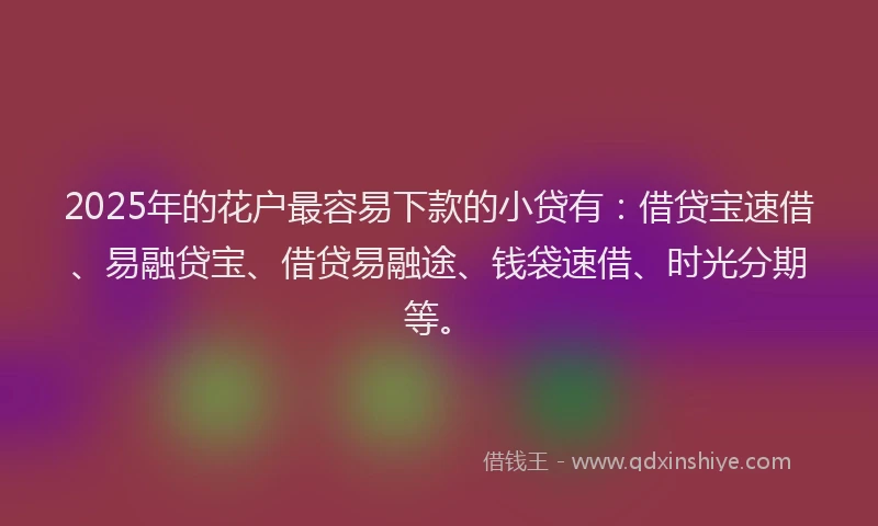 2025年的花户最容易下款的小贷有：借贷宝速借、易融贷宝、借贷易融途、钱袋速借、时光分期等。
