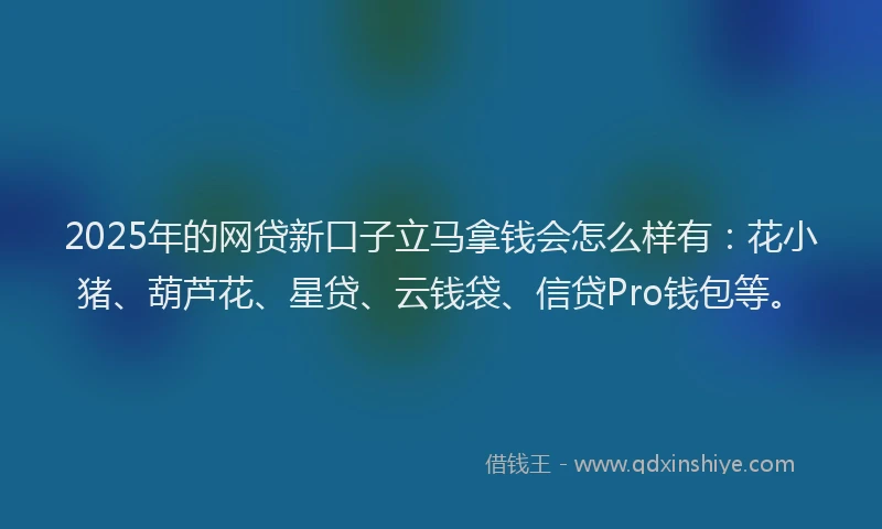 2025年的网贷新口子立马拿钱会怎么样有：花小猪、葫芦花、星贷、云钱袋、信贷Pro钱包等。