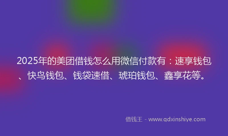 2025年的美团借钱怎么用微信付款有：速享钱包、快鸟钱包、钱袋速借、琥珀钱包、鑫享花等。
