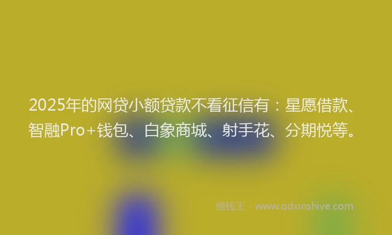 2025年的网贷小额贷款不看征信有：星愿借款、智融Pro+钱包、白象商城、射手花、分期悦等。