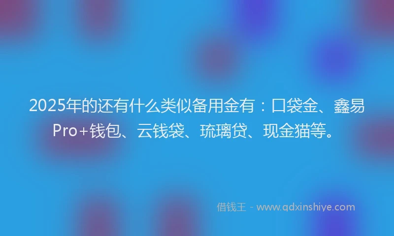 2025年的还有什么类似备用金有：口袋金、鑫易Pro+钱包、云钱袋、琉璃贷、现金猫等。