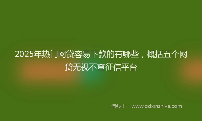 2025年热门网贷容易下款的有哪些，概括五个网贷无视不查征信平台