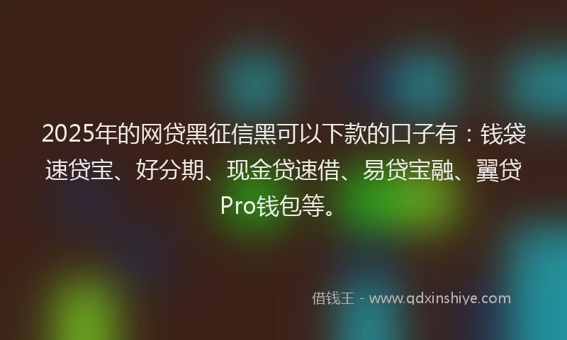 2025年的网贷黑征信黑可以下款的口子有：钱袋速贷宝、好分期、现金贷速借、易贷宝融、翼贷Pro钱包等。