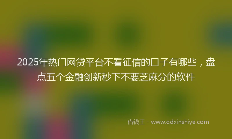 2025年热门网贷平台不看征信的口子有哪些，盘点五个金融创新秒下不要芝麻分的软件