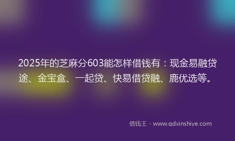 2025年的芝麻分603能怎样借钱有：现金易融贷途、金宝盒、一起贷、快易借贷融、鹿优选等。
