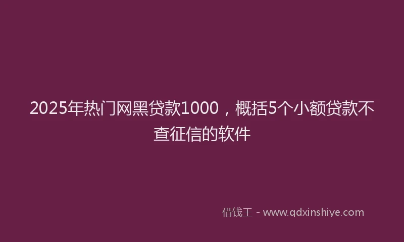 2025年热门网黑贷款1000，概括5个小额贷款不查征信的软件