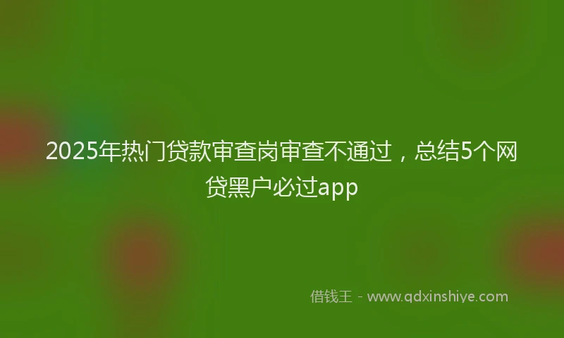 2025年热门贷款审查岗审查不通过，总结5个网贷黑户必过app
