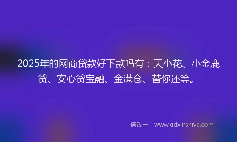 2025年的网商贷款好下款吗有：天小花、小金鹿贷、安心贷宝融、金满仓、替你还等。