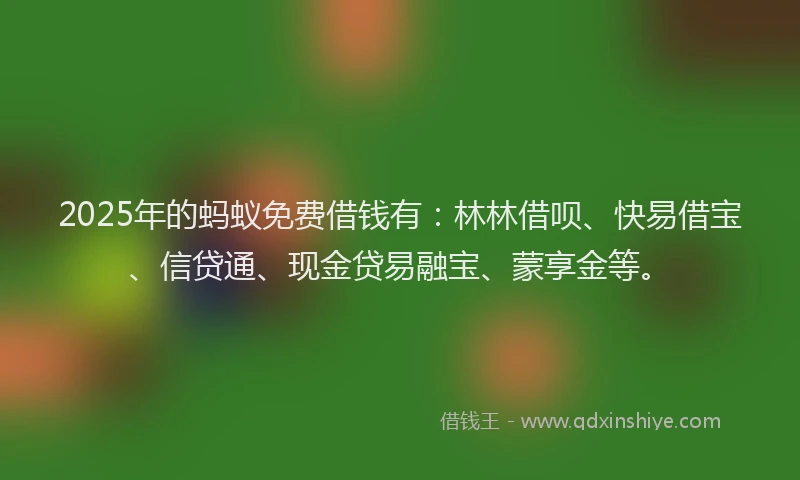 2025年的蚂蚁免费借钱有：林林借呗、快易借宝、信贷通、现金贷易融宝、蒙享金等。