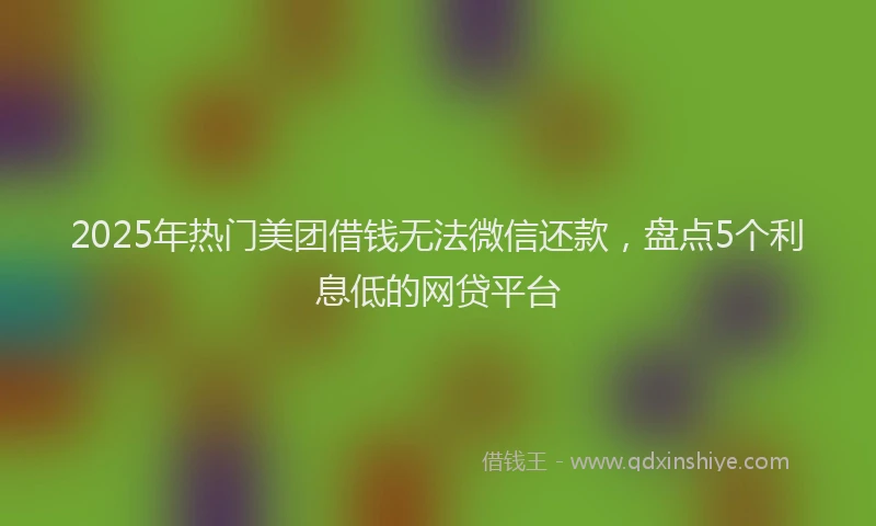 2025年热门美团借钱无法微信还款，盘点5个利息低的网贷平台