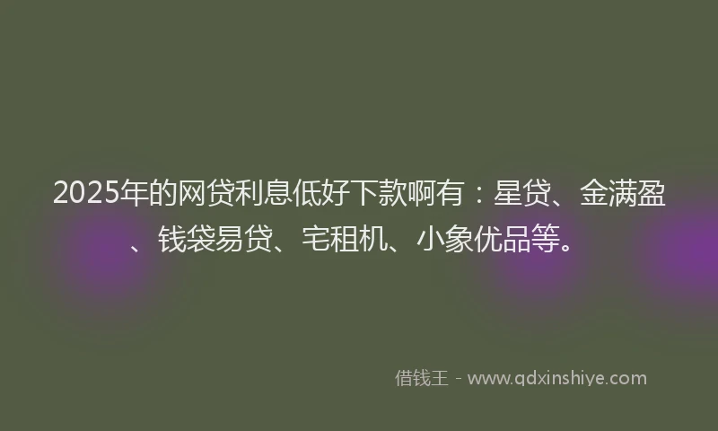 2025年的网贷利息低好下款啊有：星贷、金满盈、钱袋易贷、宅租机、小象优品等。