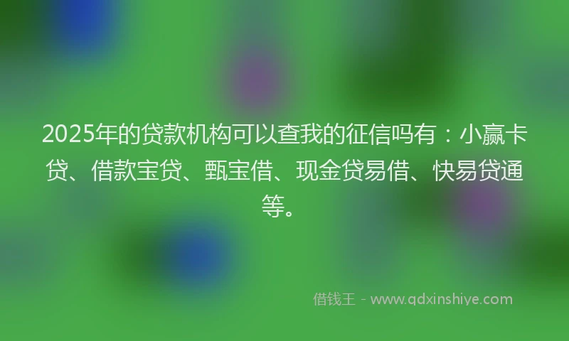 2025年的贷款机构可以查我的征信吗有：小赢卡贷、借款宝贷、甄宝借、现金贷易借、快易贷通等。