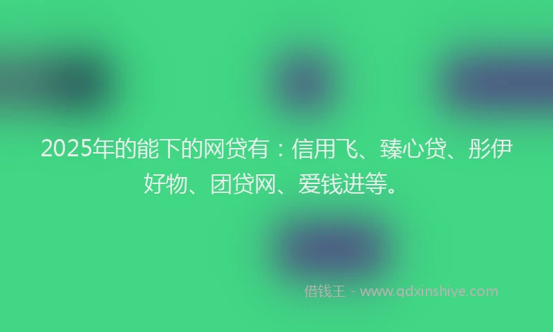 2025年的能下的网贷有：信用飞、臻心贷、彤伊好物、团贷网、爱钱进等。