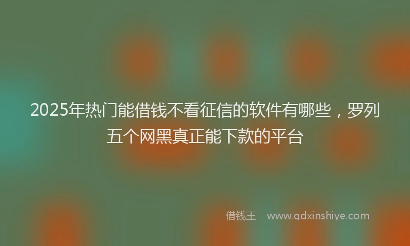 2025年热门能借钱不看征信的软件有哪些，罗列五个网黑真正能下款的平台