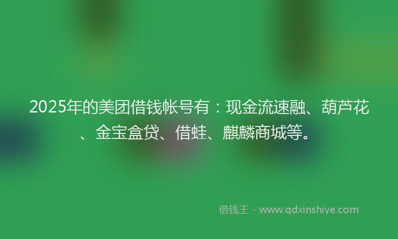 2025年的美团借钱帐号有：现金流速融、葫芦花、金宝盒贷、借蛙、麒麟商城等。