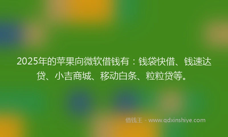 2025年的苹果向微软借钱有：钱袋快借、钱速达贷、小吉商城、移动白条、粒粒贷等。