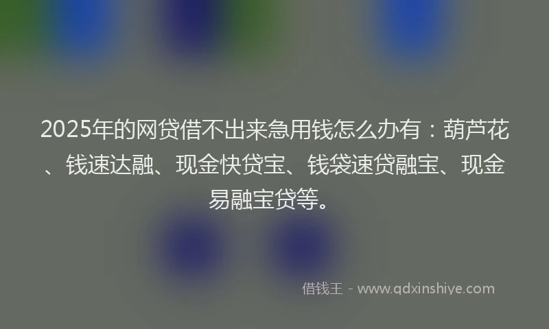 2025年的网贷借不出来急用钱怎么办有：葫芦花、钱速达融、现金快贷宝、钱袋速贷融宝、现金易融宝贷等。