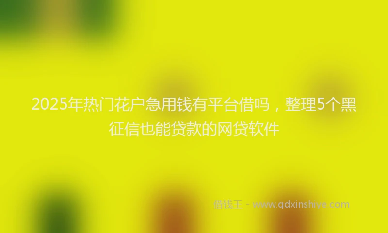 2025年热门花户急用钱有平台借吗，整理5个黑征信也能贷款的网贷软件