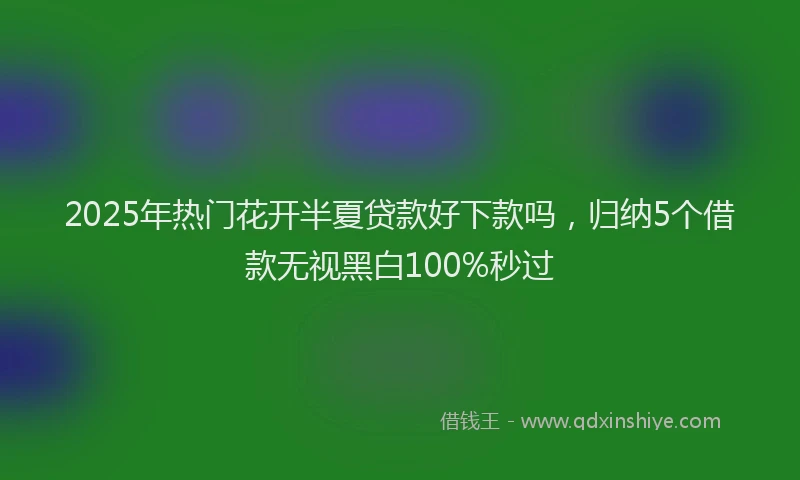 2025年热门花开半夏贷款好下款吗，归纳5个借款无视黑白100%秒过