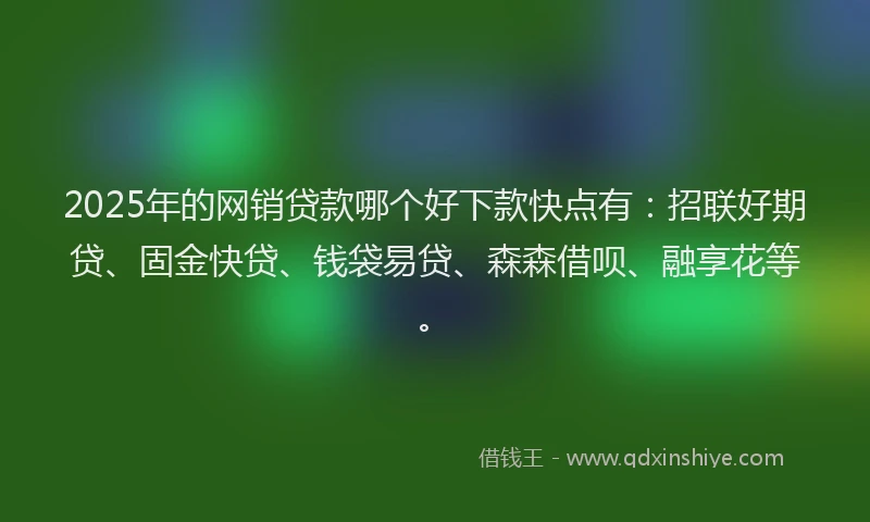 2025年的网销贷款哪个好下款快点有：招联好期贷、固金快贷、钱袋易贷、森森借呗、融享花等。