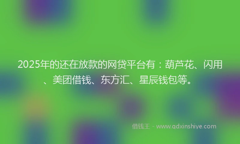 2025年的还在放款的网贷平台有：葫芦花、闪用、美团借钱、东方汇、星辰钱包等。